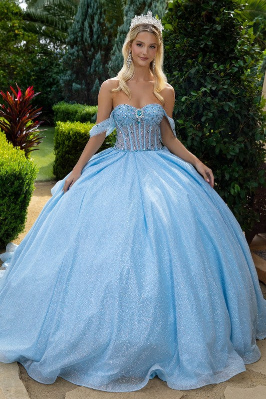 Cinderella's Sparkle Dream Gown