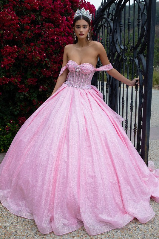 Cinderella's Sparkle Dream Gown