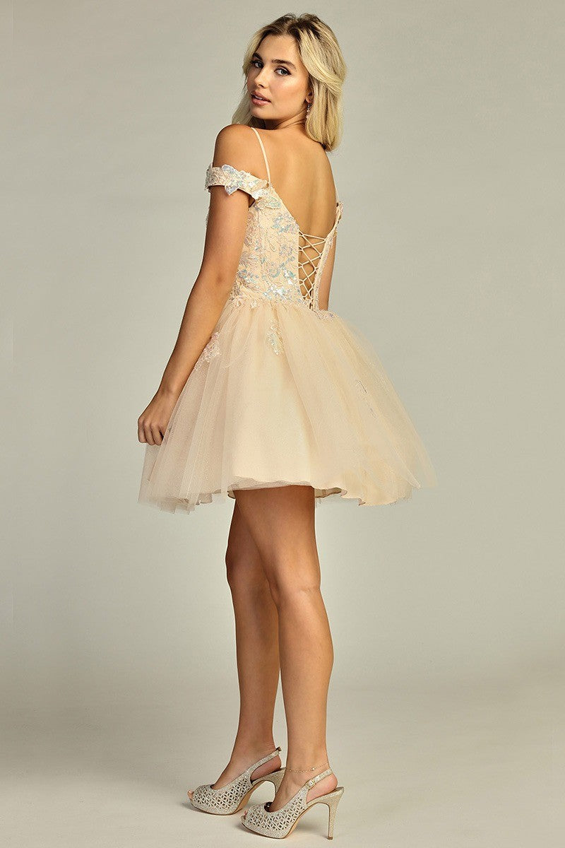 Corset Fairy Dress