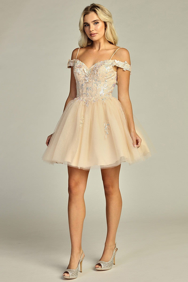 Corset Fairy Dress